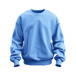 Blue sweatshirt